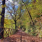 Della Pieve Pievebovigliana
