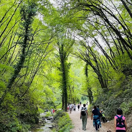 Della Pieve * Pievebovigliana